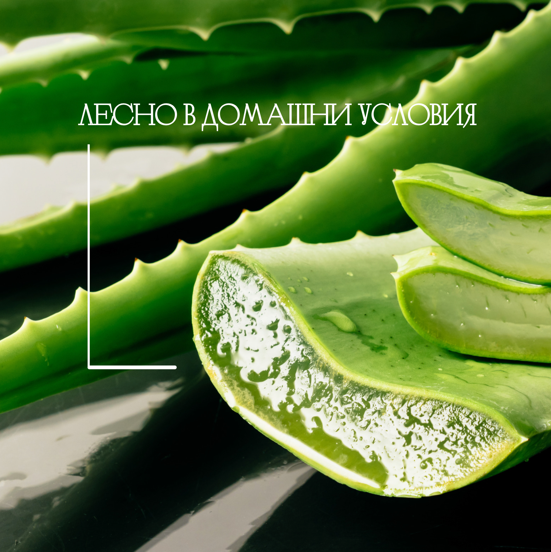 Премахнете торбичките под очите в домашни условия