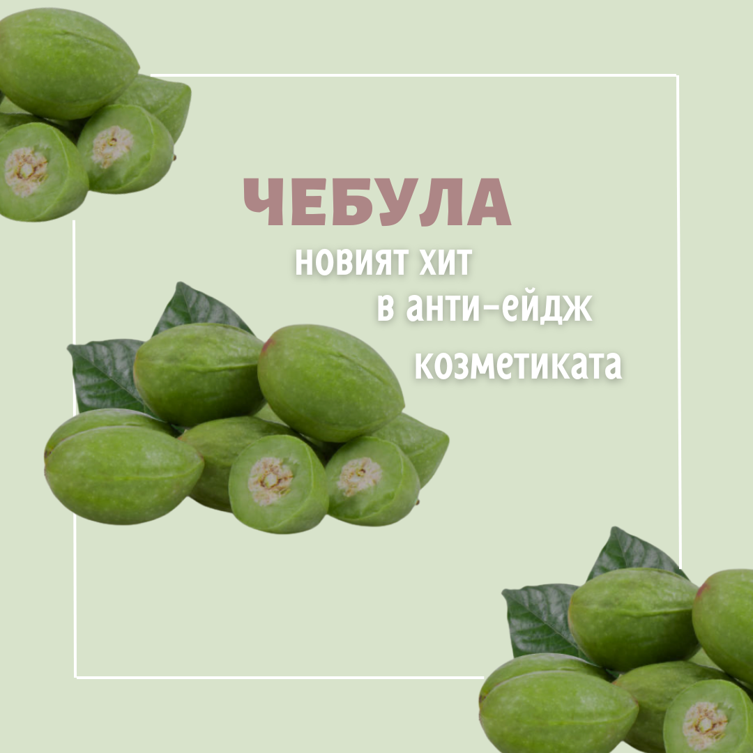 Чебула ли е новата, най-модерна анти-ейдж съставка в козметиката?